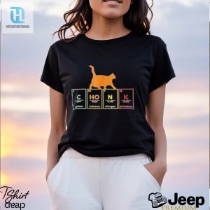 Fat Cat Chonk Scale Chonky Meme Cat Shirt hotcouturetrends 1 3