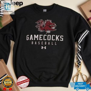 South Carolina Gamecocks Garnet Baseball Tech Performance T Shirt hotcouturetrends 1 2