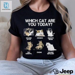 Official Which Cat Are You Today Golden Cromch Smooth Brain Tiny Criminal Chonk Violent Impulses Shirt hotcouturetrends 1 2