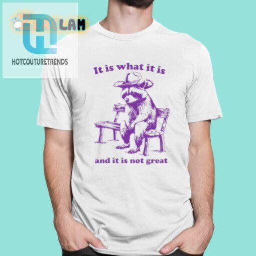 It Is What It Is And It Is Not Great Funny Shirt hotcouturetrends 1 5