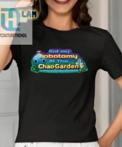 Got My Lobotomy At Chao Garden Shirt hotcouturetrends 1 9