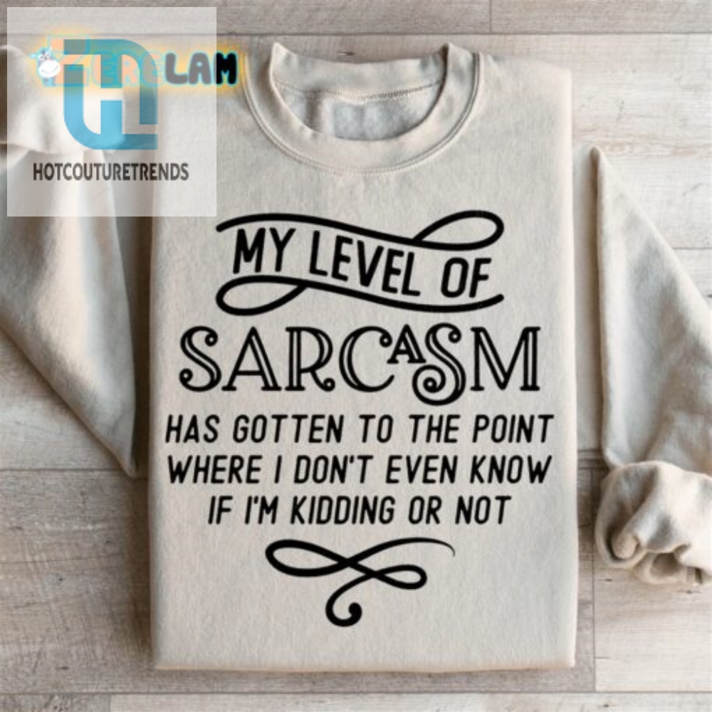 Sarcastic Confusion Sweatshirt