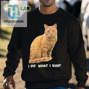 Meowsome Jason Levin Cat Tee Unleash Your Inner Feline hotcouturetrends 1 2