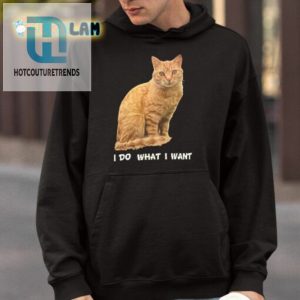 Meowsome Jason Levin Cat Tee Unleash Your Inner Feline hotcouturetrends 1 3