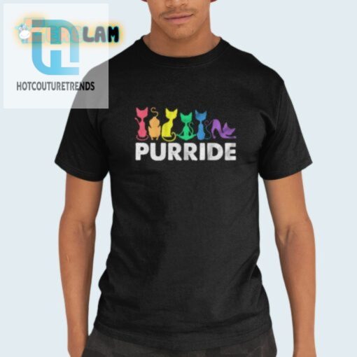Purride Joy Uju Anyas Hilarious Pride Cat Shirt hotcouturetrends 1
