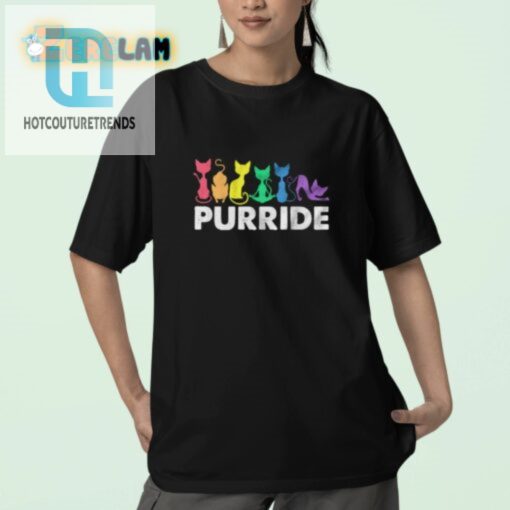 Purride Joy Uju Anyas Hilarious Pride Cat Shirt hotcouturetrends 1 2