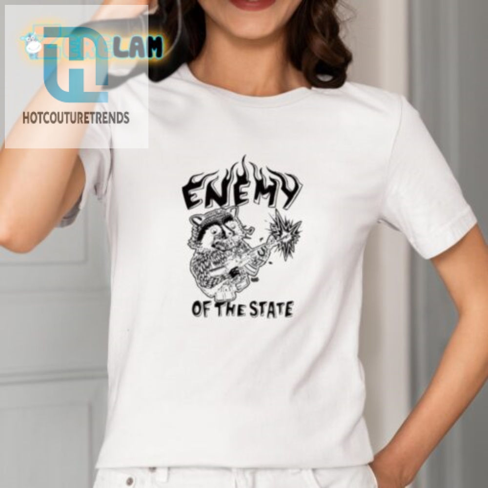 Funny Enemy Of The State Raccoon Shirt  Unique Gift Idea