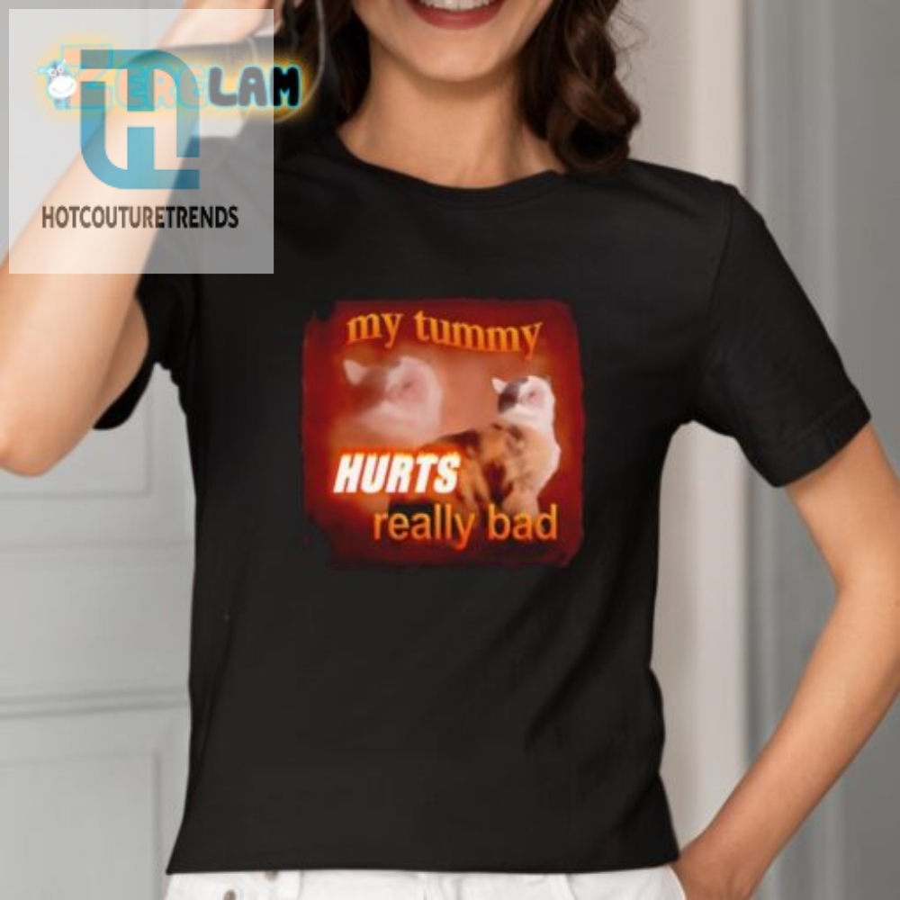 My Tummy Hurts Cat Shirt  Hilarious  Unique Design