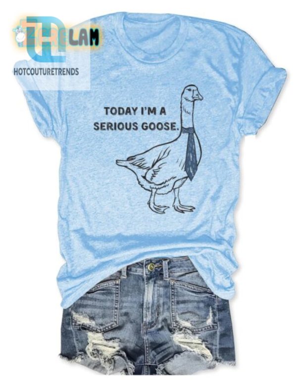 Get Your Laugh With The Unique Serious Goose Shirt Today hotcouturetrends 1 2