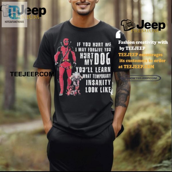 Unique Deadpool Tshirt Hilarious Temporary Insanity Design hotcouturetrends 1