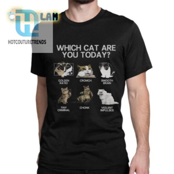 Which Cat Are You Today Shirt hotcouturetrends 1 1