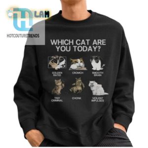 Which Cat Are You Today Shirt hotcouturetrends 1 2