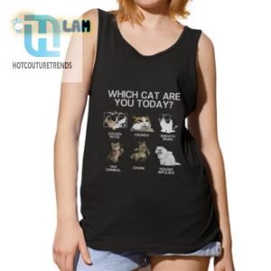 Which Cat Are You Today Shirt hotcouturetrends 1 4