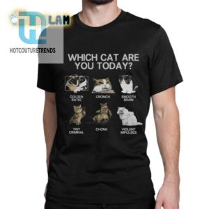 Which Cat Are You Today Shirt hotcouturetrends 1 6